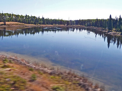 Canada - Edrr Invasive Plant Suction Dredge Treatments Bouchie Lake